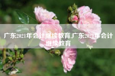 广东2021年会计继续教育,广东2021年会计继续教育