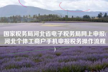 国家税务局河北省电子税务局网上申报(河北个体工商户手机申报税务操作流程
)