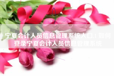 宁夏会计人员信息管理系统入口,1 如何登录宁夏会计人员信息管理系统