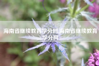 海南省继续教育学分网,海南省继续教育学分网