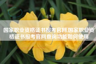 国家职业资格证书报考官网,国家职业资格证书报考官网查询功能如何使用