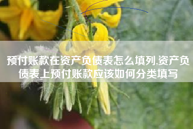 预付账款在资产负债表怎么填列,资产负债表上预付账款应该如何分类填写