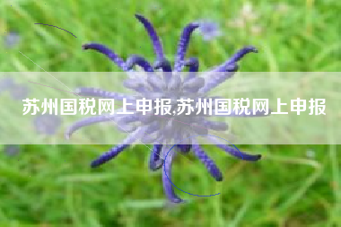 苏州国税网上申报,苏州国税网上申报