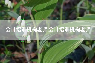 会计培训机构老师,会计培训机构老师