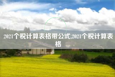 2021个税计算表格带公式,2021个税计算表格