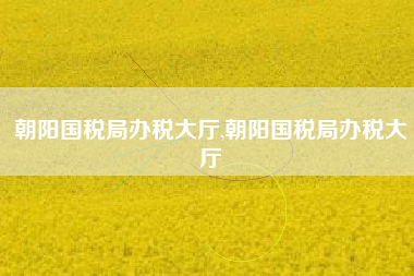 朝阳国税局办税大厅,朝阳国税局办税大厅