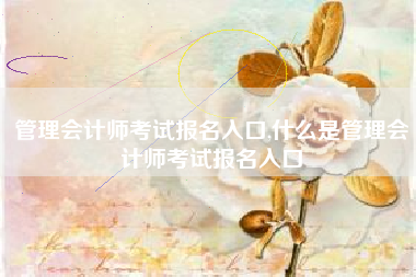 管理会计师考试报名入口,什么是管理会计师考试报名入口