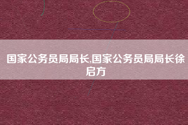 国家公务员局局长,国家公务员局局长徐启方