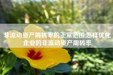 非流动资产周转率的正常范围,怎样优化企业的非流动资产周转率