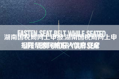 湖南国税局网上申报,湖南国税局网上申报如何确保纳税人信息安全