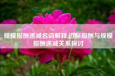 规模报酬递减名词解释,边际报酬与规模报酬递减关系探讨