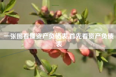 一张图看懂资产负债表,首先看资产负债表