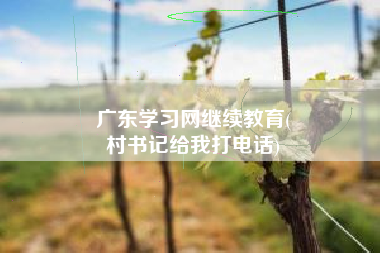 广东学习网继续教育(
村书记给我打电话)