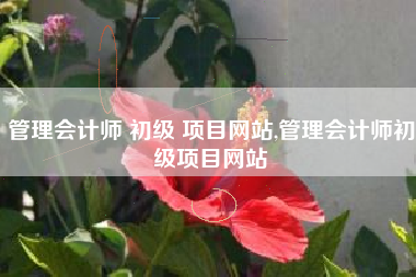 管理会计师 初级 项目网站,管理会计师初级项目网站
