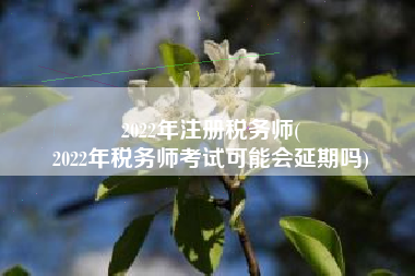 2022年注册税务师(
2022年税务师考试可能会延期吗)