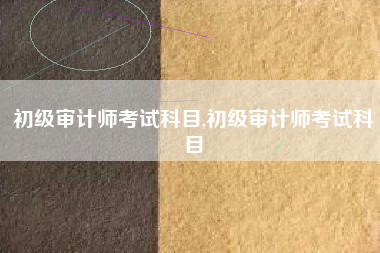 初级审计师考试科目,初级审计师考试科目