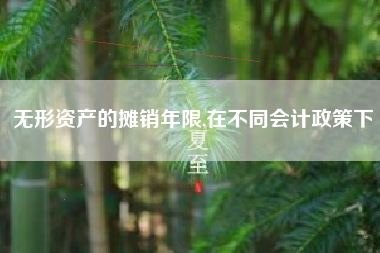无形资产的摊销年限,在不同会计政策下