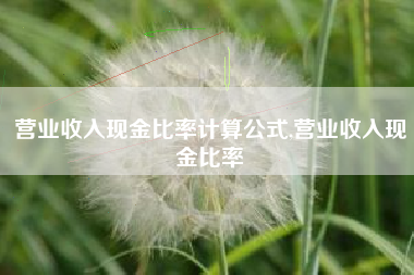 营业收入现金比率计算公式,营业收入现金比率