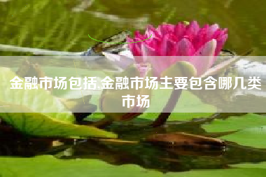 金融市场包括,金融市场主要包含哪几类市场