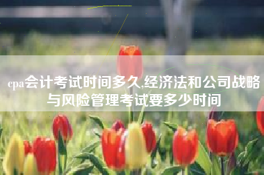 cpa会计考试时间多久,经济法和公司战略与风险管理考试要多少时间