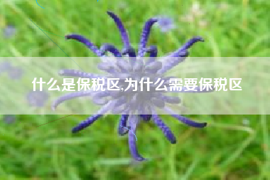 什么是保税区,为什么需要保税区