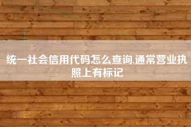 统一社会信用代码怎么查询,通常营业执照上有标记