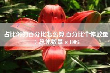 占比例的百分比怎么算,百分比个体数量÷总体数量×100%