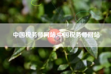 中国税务师网站,中国税务师网站