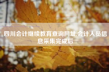 四川会计继续教育查询网址,会计人员信息采集完成后