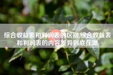 综合收益表和利润表的区别,综合收益表和利润表的内容差异到底在哪