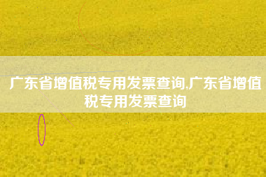 广东省增值税专用发票查询,广东省增值税专用发票查询