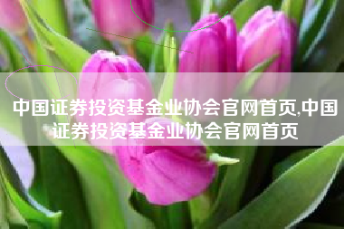 中国证券投资基金业协会官网首页,中国证券投资基金业协会官网首页