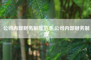 公司内部财务制度范本,公司内部财务制度