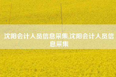 沈阳会计人员信息采集,沈阳会计人员信息采集