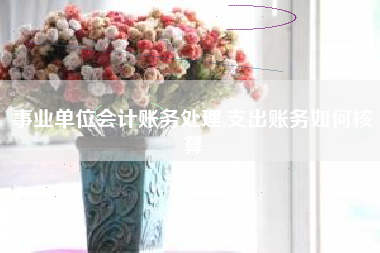 事业单位会计账务处理,支出账务如何核算