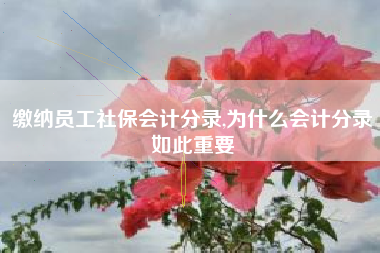 缴纳员工社保会计分录,为什么会计分录如此重要