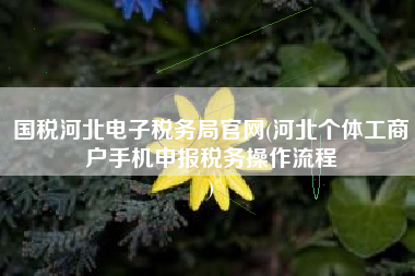 国税河北电子税务局官网(河北个体工商户手机申报税务操作流程
)