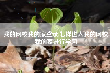 我的网校我的家登录,怎样进入我的网校我的家进行学习