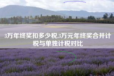3万年终奖扣多少税,3万元年终奖合并计税与单独计税对比