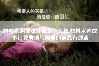 材料采购成本计算表怎么填,材料采购成本计算表填写需要的信息有哪些
