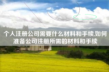 个人注册公司需要什么材料和手续,如何准备公司注册所需的材料和手续