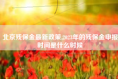 北京残保金最新政策,2023年的残保金申报时间是什么时候