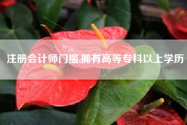 注册会计师门槛,拥有高等专科以上学历