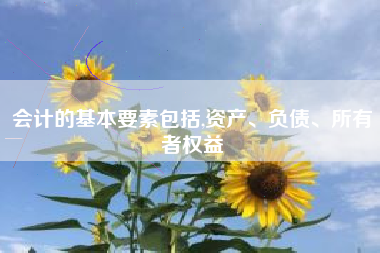 会计的基本要素包括,资产、负债、所有者权益