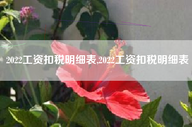 2022工资扣税明细表,2022工资扣税明细表