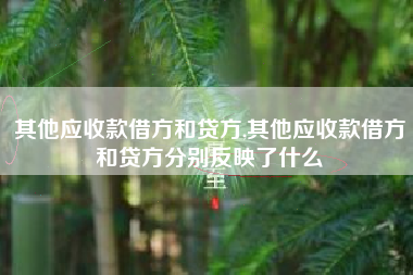 其他应收款借方和贷方,其他应收款借方和贷方分别反映了什么