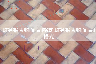 财务报表封面word格式,财务报表封面word格式