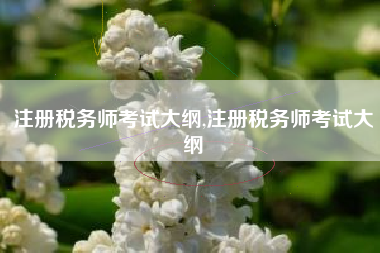 注册税务师考试大纲,注册税务师考试大纲