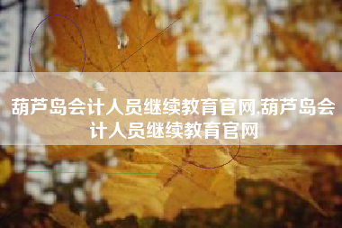 葫芦岛会计人员继续教育官网,葫芦岛会计人员继续教育官网