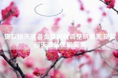 贷款损失准备金及纳税调整明细表,贷款损失准备金明细表